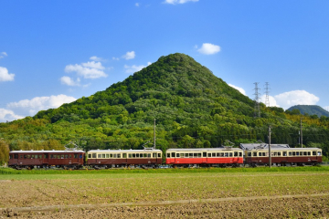努力從不需要到成為居民的一分子！香川縣的百年琴平列車